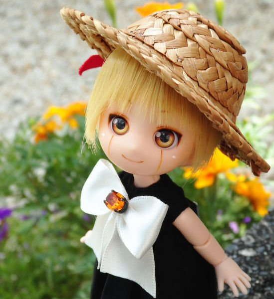 ガッシュと盛夏の庭